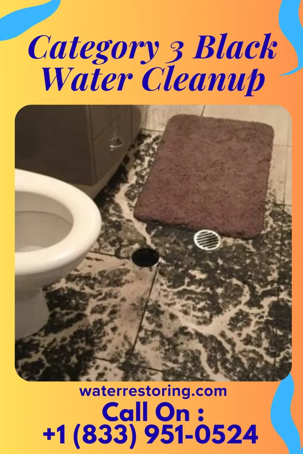 Category 3 Black Water Cleanup in West Harrison, IN