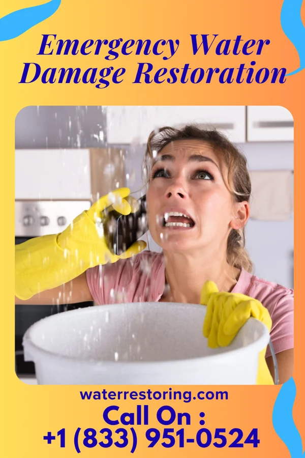 Emergency Water Damage Restoration in West Harrison, IN