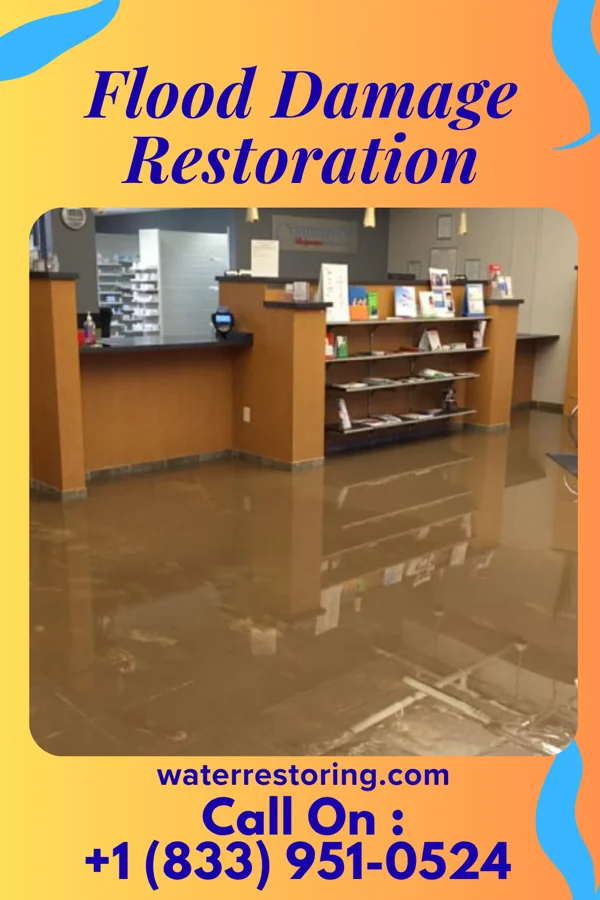 Flood Damage Restoration in West Harrison, IN