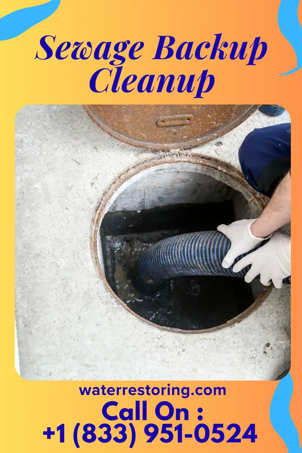 Sewage Backup Cleanup in West Harrison, IN