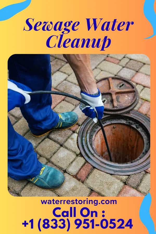 Sewage Water Cleanup in West Harrison, IN