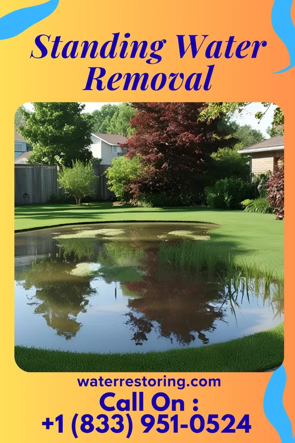 Standing Water Removal in West Harrison, IN